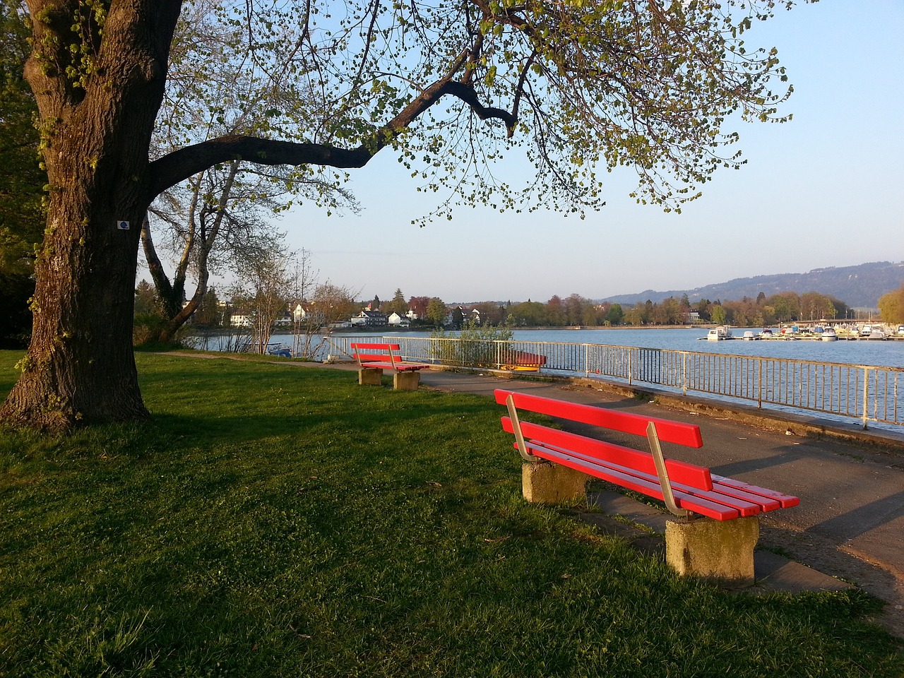 世纪的足球 世纪的足球