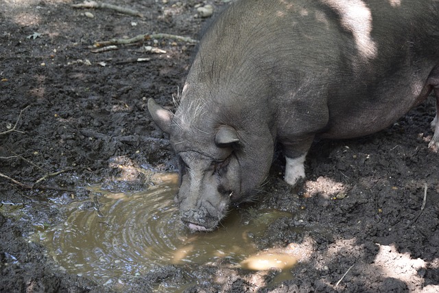 比如环保 比如环保