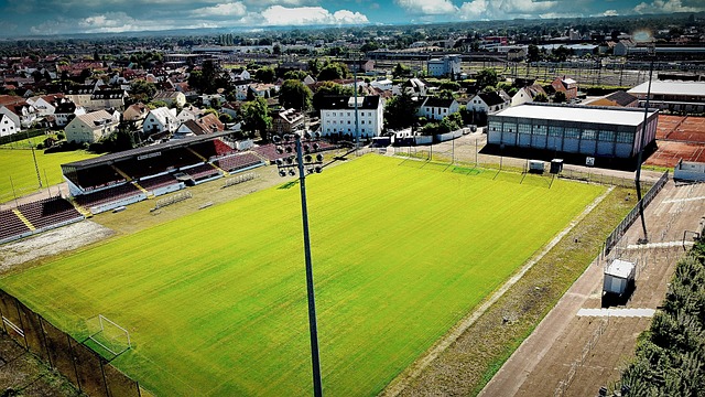 为赛事公司 为赛事公司