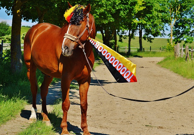 作为世界上 作为世界上