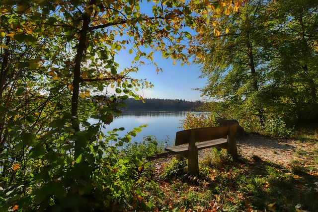 里皮尔这场 里皮尔这场